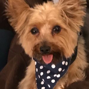 Meet your Posher, Suprena